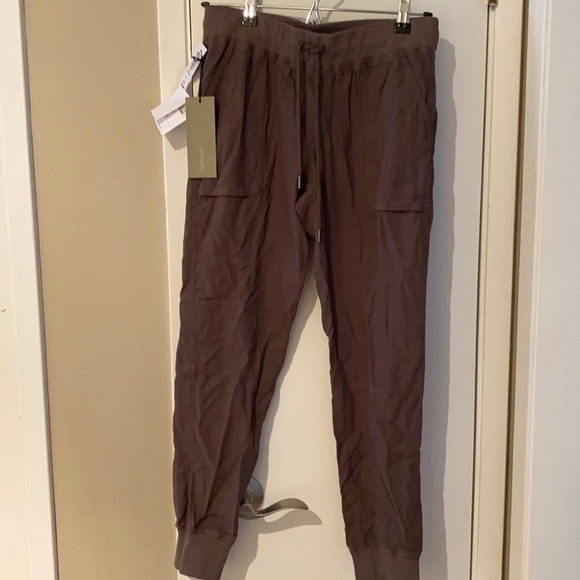 ARITZIA Community Ion Pant - Picture 1 of 5